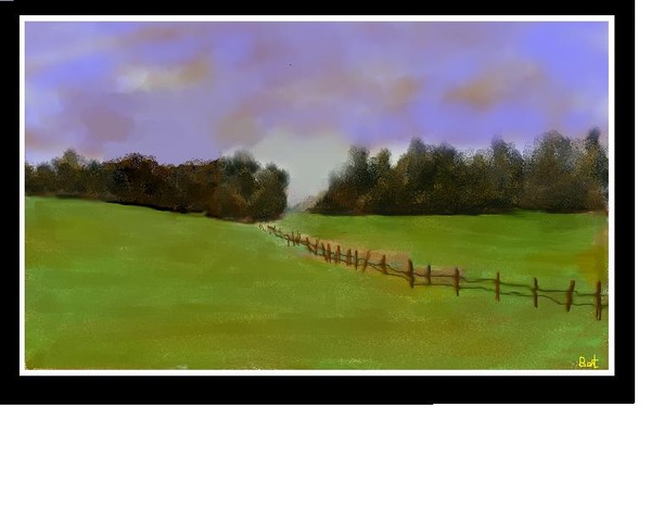 Fields