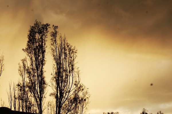 At Sunset
