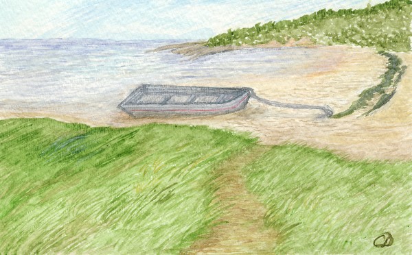 Low Tide Stroll