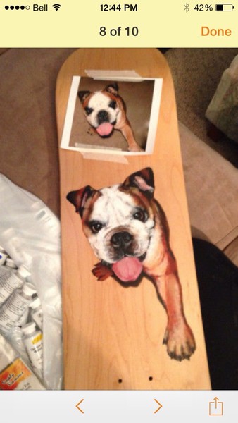 Skateboard dog