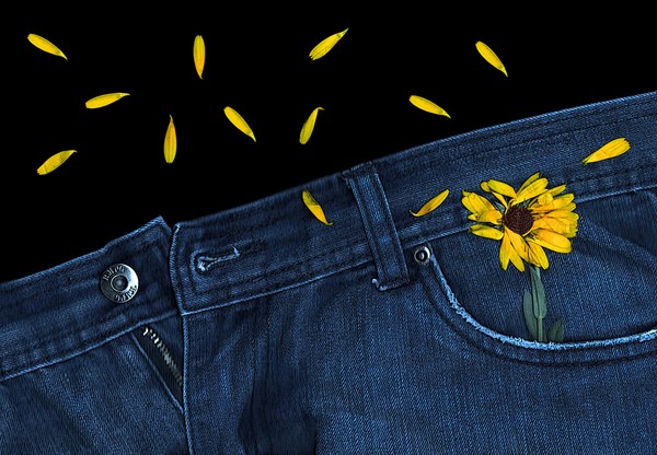 Blue Jeans And Calendula