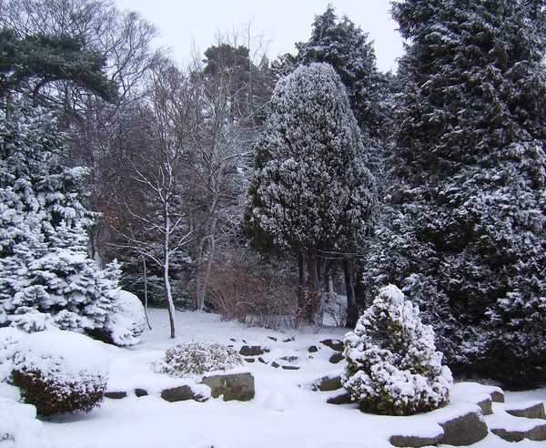 Winters Day 2