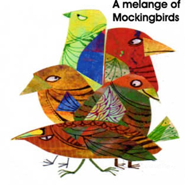 A MELANGE OF MOCKINGBIRDS