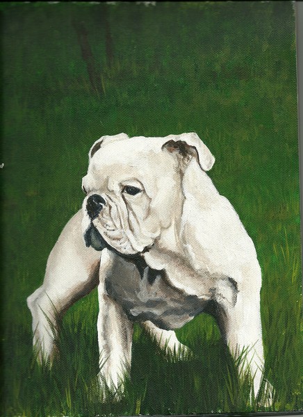 Little Uga