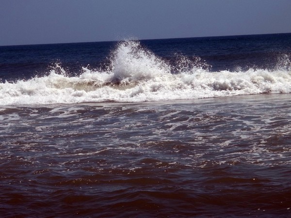 Waves