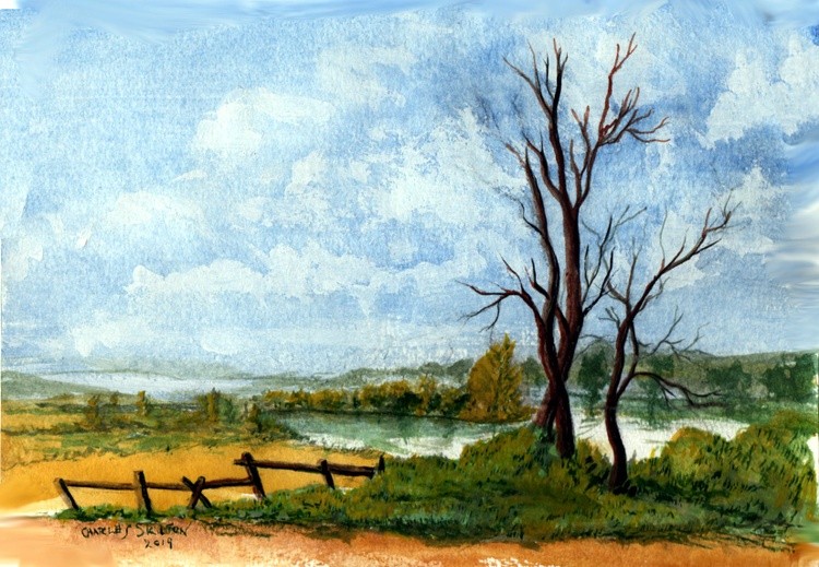 trees and lake