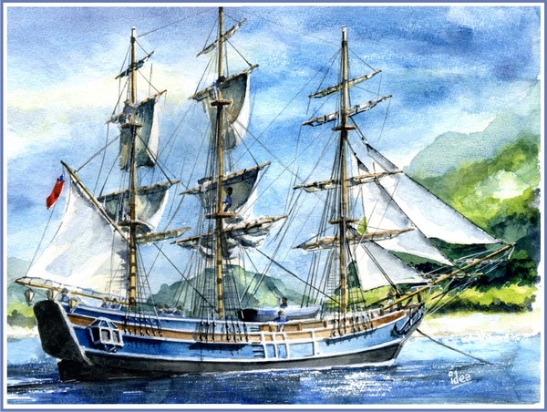 The “Bounty”