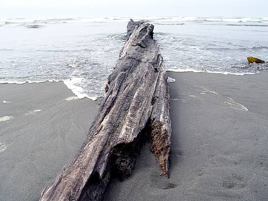 Watching the tide go out