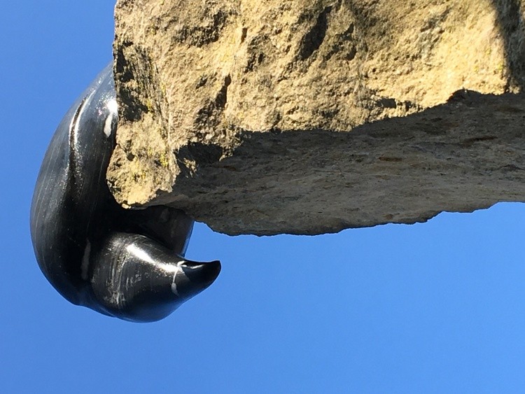 Rabe detail