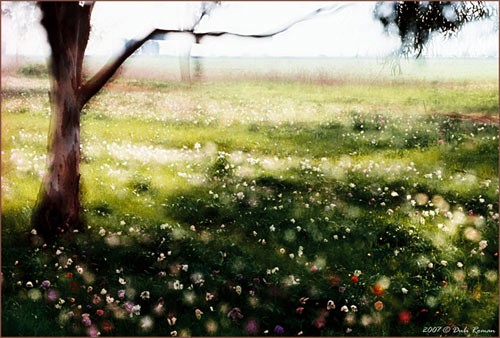 Tree & Flowers