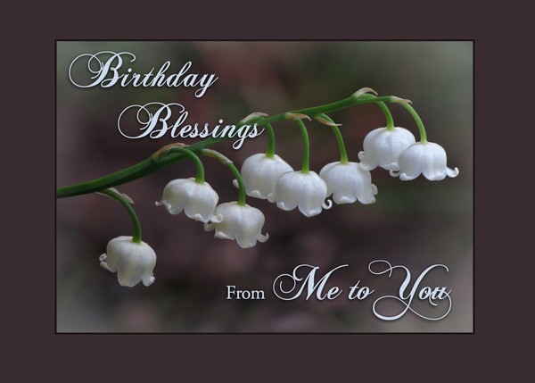 Birthday Blessings Lily of the Valley