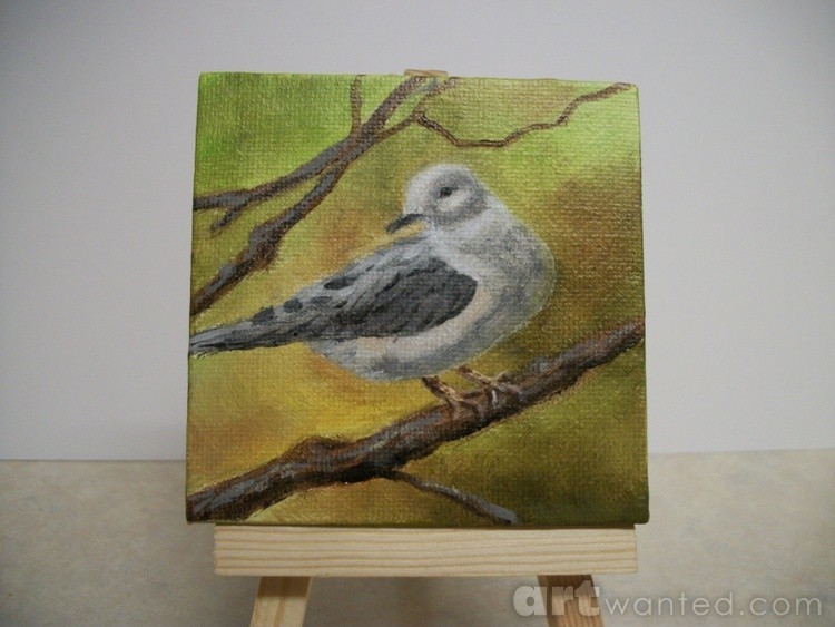 Morning Dove