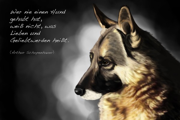 German Sheperd