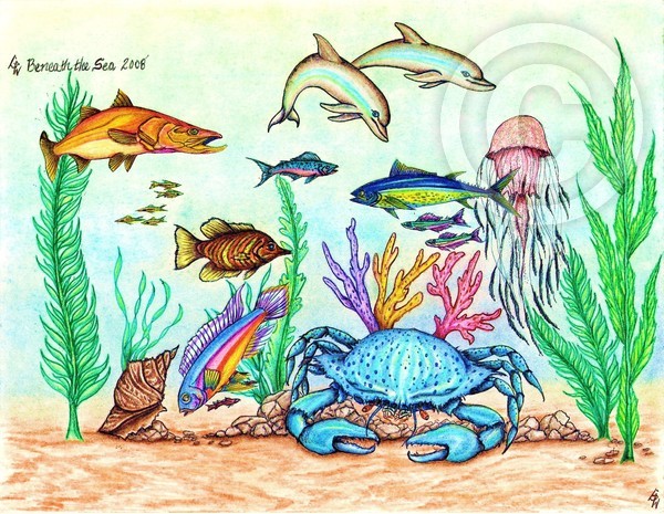 Beneath The Sea Original Art Drawing