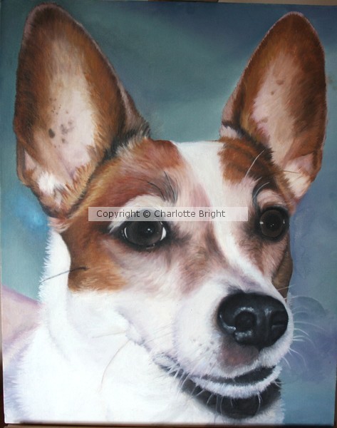 Jack Russell