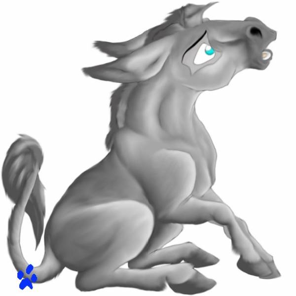 Little Donkey