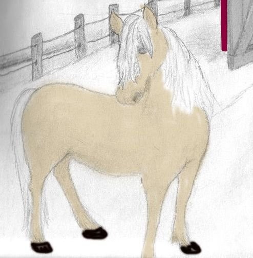 Palomino pony