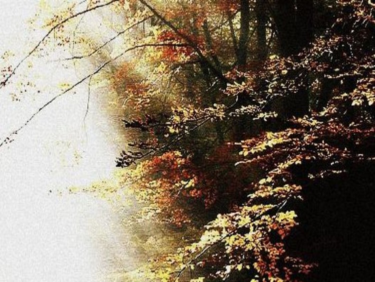 The Beauty Of Fall