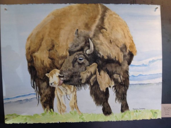 Spring Birth