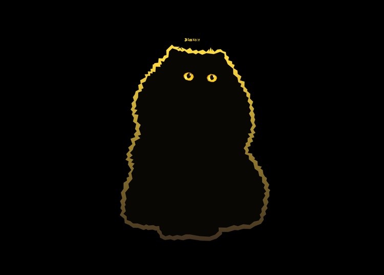 Puffy Cat on Deep Pink