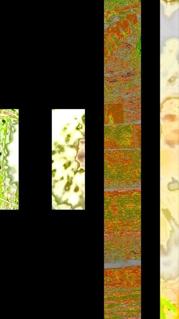 thumbnail-835