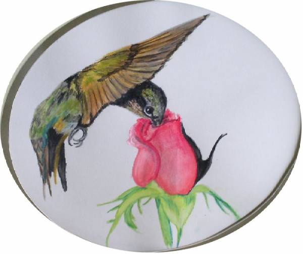 HUMMINGBIRD