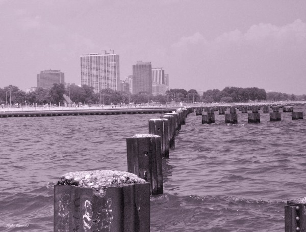 Chicago Lakeshores Sepia