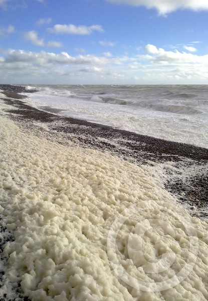 Sea Foam Portrait