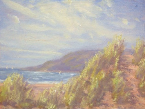 silver dunes