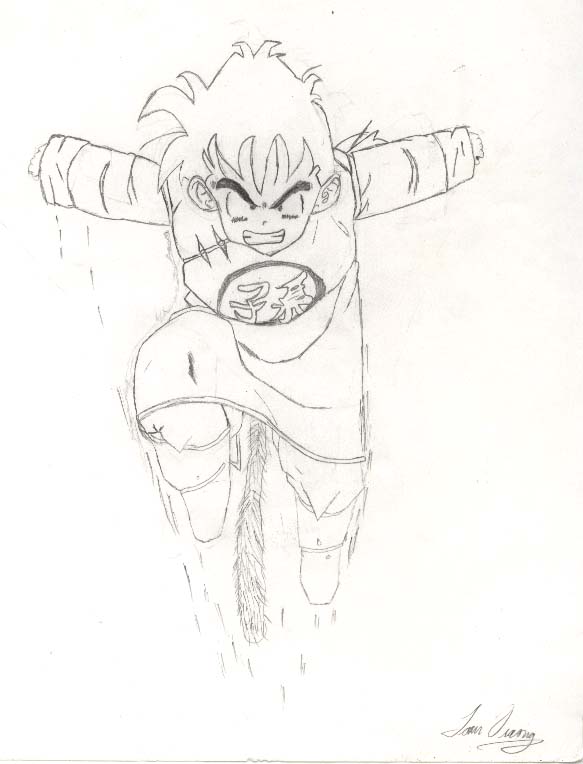 gohan level 1