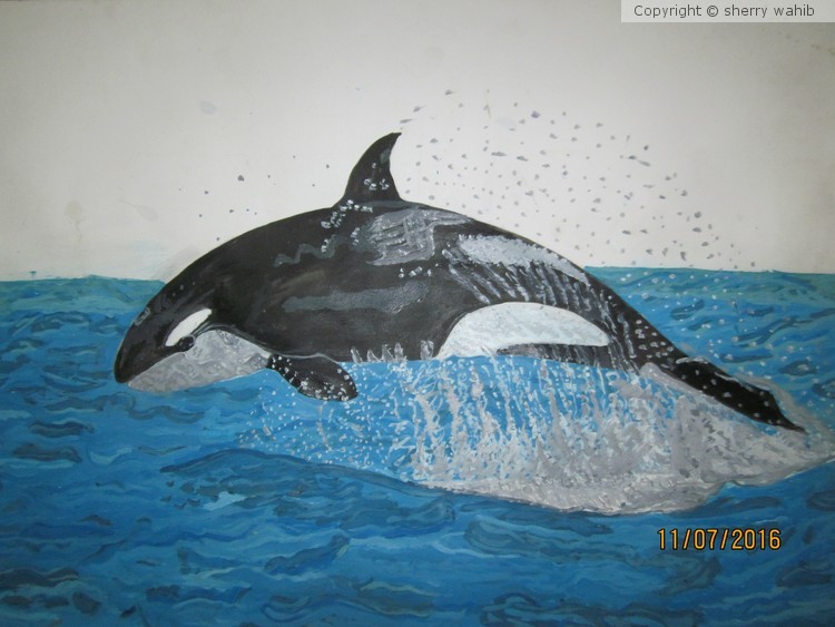 a jumping  whale
