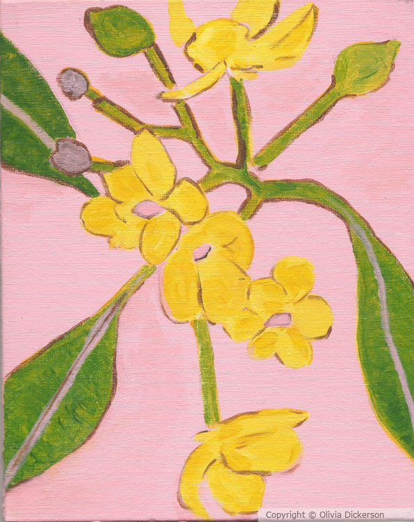 Blossom Blooms