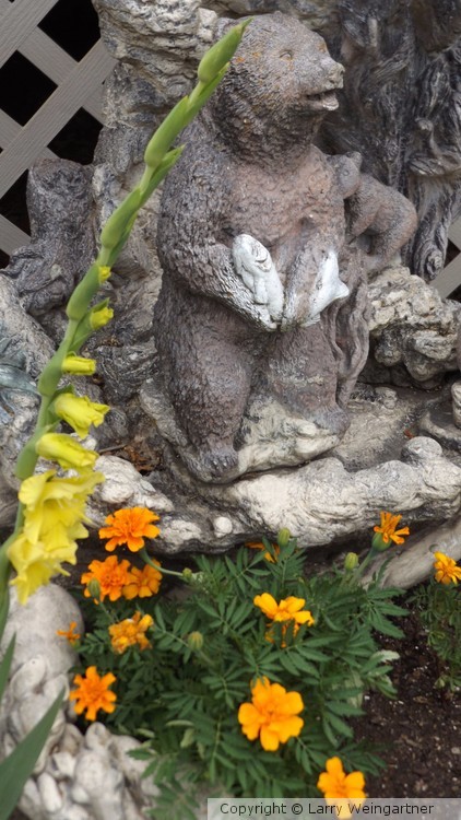 Yellow Glads,, Marigolds and planter