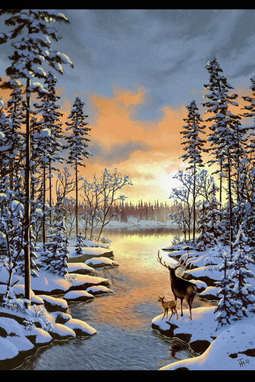 Winter River