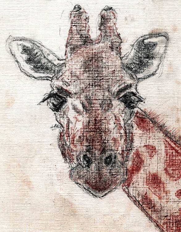 Giraffe Drawing
