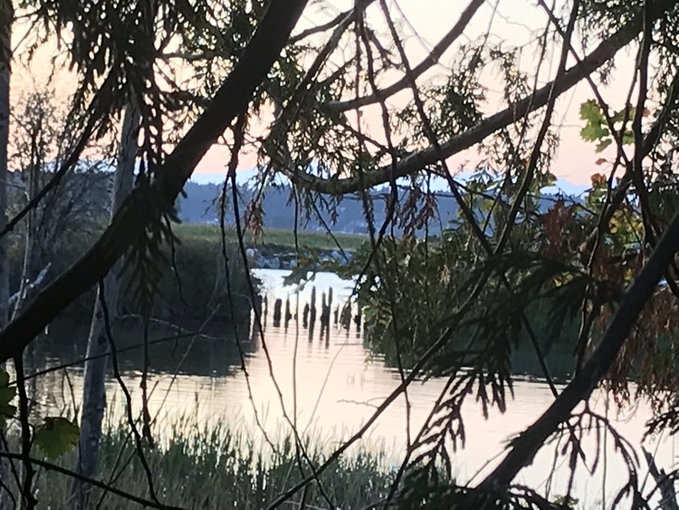 Nicomekl River