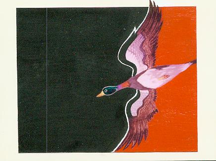 Wild Goose