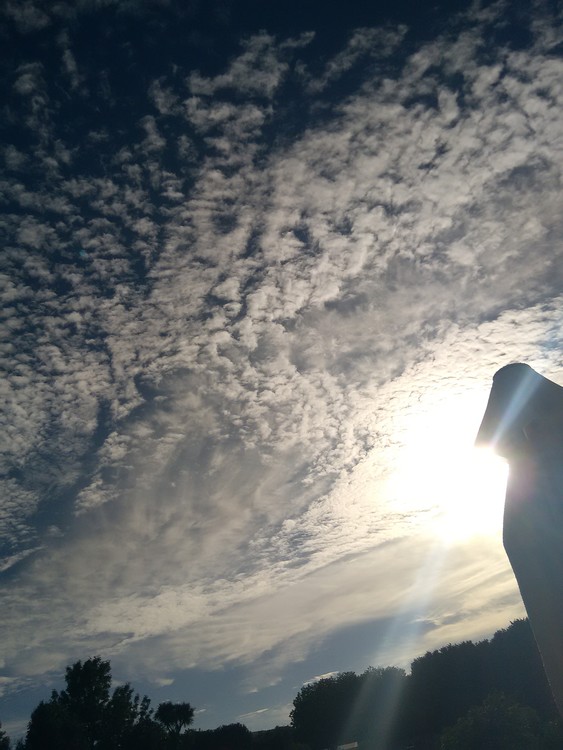 A Ray of Hope