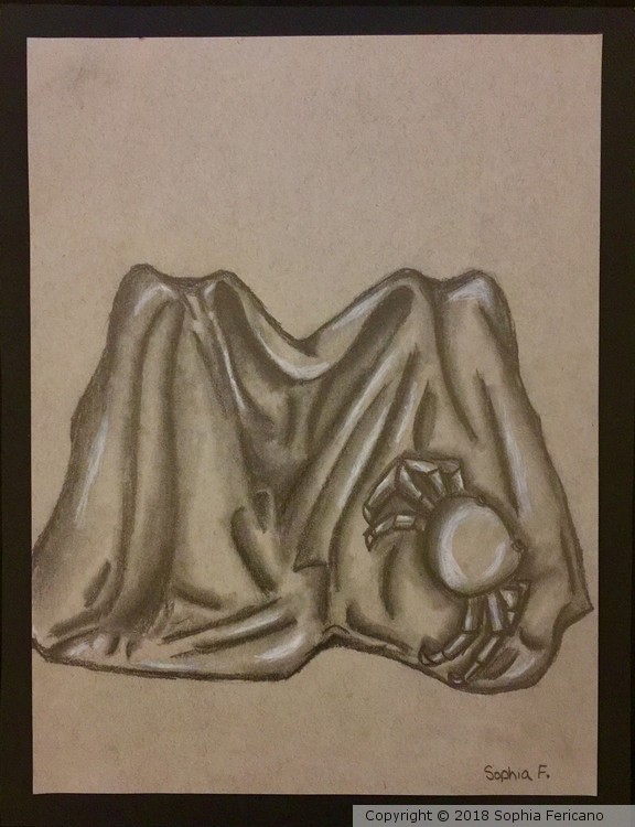 Crab crawling on Fabric