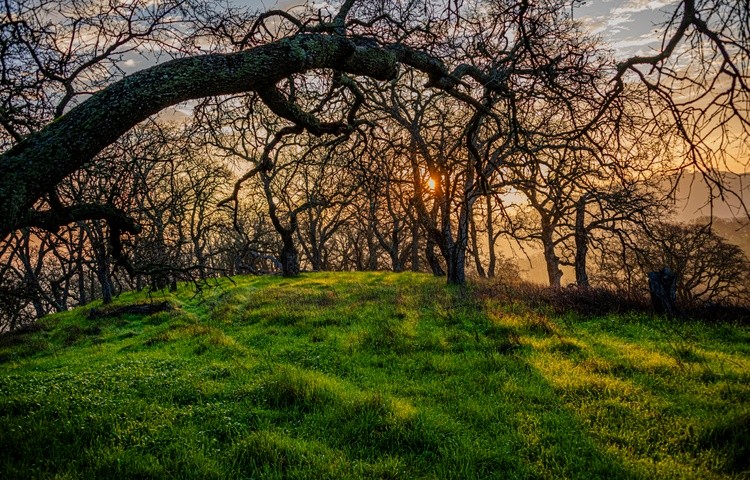 Morning Light on Mt. Wanda - January 26 2026