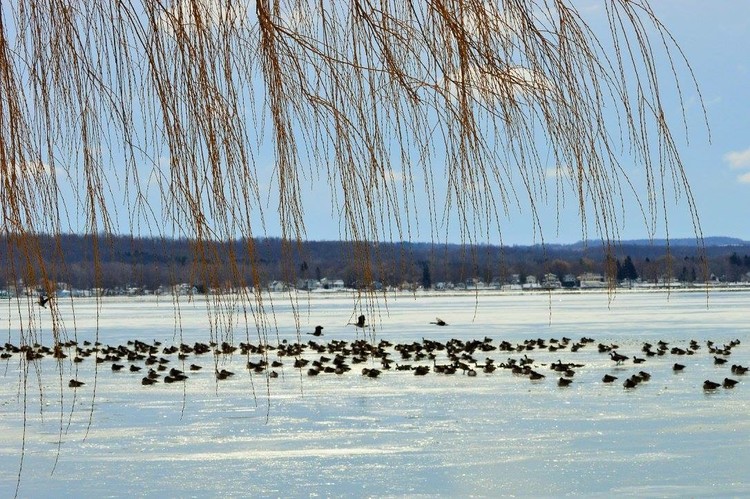 Cold Winter Day