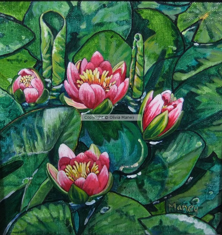 Hawaiian Waterlilies #5