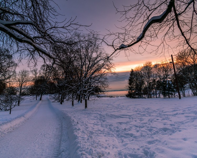 Path to peace