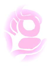swan-design1