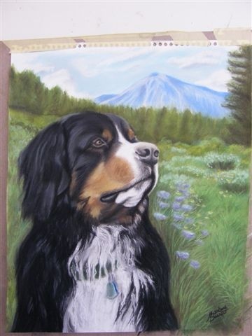 Burmese Mountain Dog