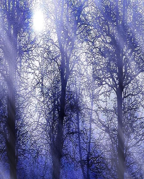 Blue Dusk.....