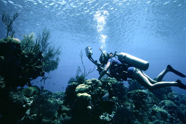 Underwater Photographer