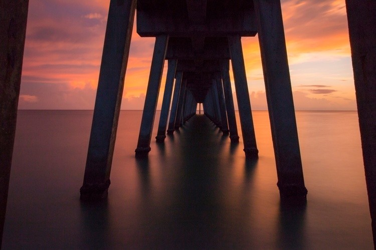 A LOOK UNDER THE PIER