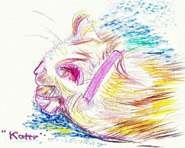 Kater