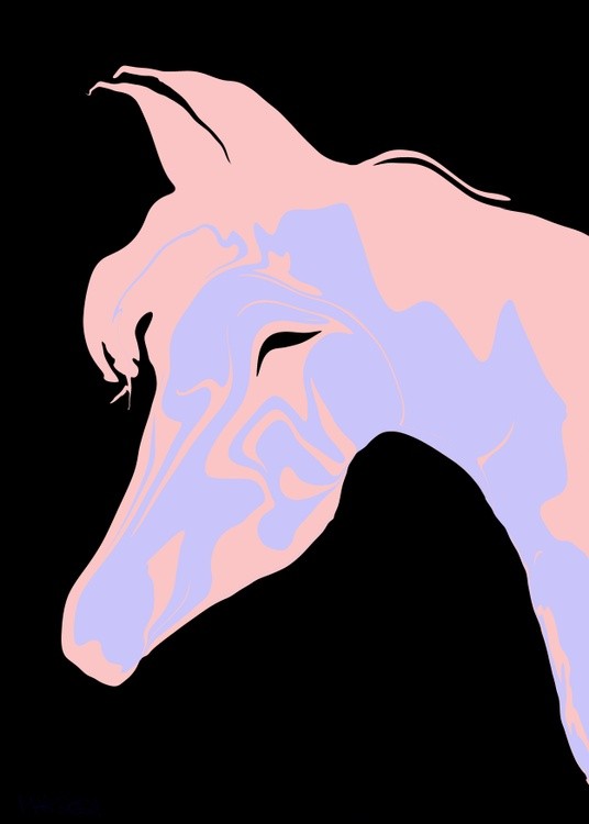 Horse Of A Different Colour